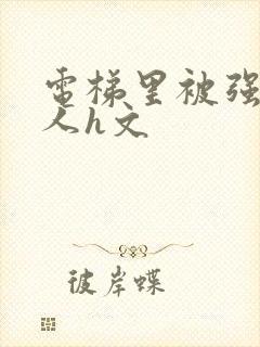 电梯里被强陌生人h文