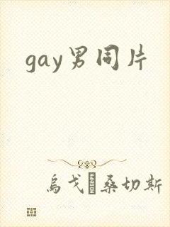 gay男同片