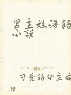 男主姓洛的总裁小说