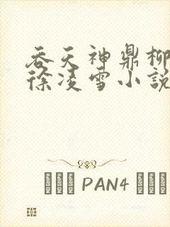 吞天神鼎柳无邪徐凌雪小说封面