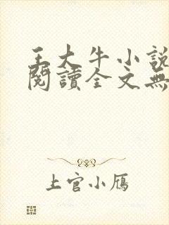 王大牛小说免费阅读全文无弹窗封面
