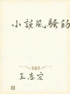 小说风骚的岳母