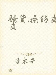 骚货,操的爽不爽