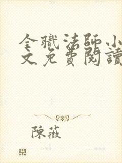 全职法师小说全文免费阅读无弹窗