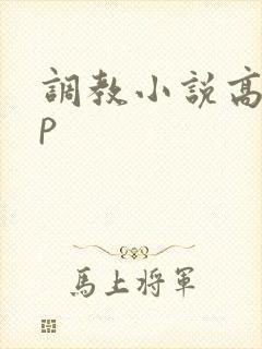 调教小说高hnp
