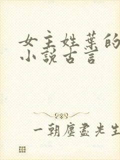 女主姓叶的穿越小说古言封面