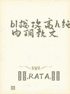 bl总攻高h纯肉调教文