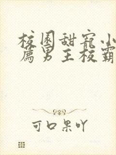 校园甜宠小说推荐男主校霸