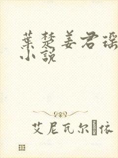 叶楚姜君瑶赘婿小说