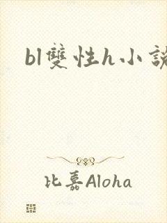 bl双性h小说