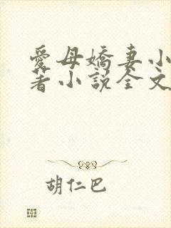 爱母娇妻小说原著小说全文阅读封面
