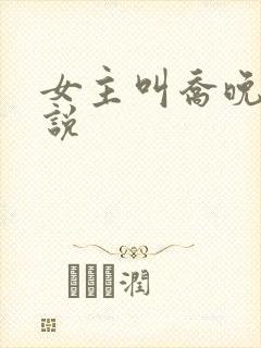 女主叫乔晚的小说