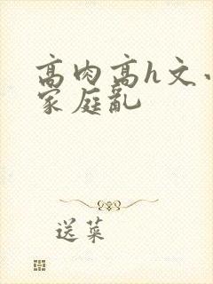 高肉高h文小说家庭乱封面