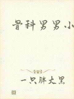 骨科男男小说h