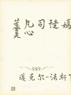 叶凡司徒嫣然林美心