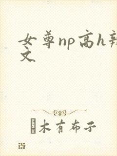 女尊np高h辣文