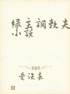 绿主调教夫妻奴小说