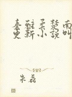 秦雅柔楚南刚刚更新小说叫什么名字