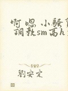 啊 嗯 小骚货 调教sm高h文