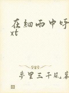 在细雨中呼喊txt