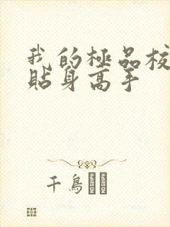 我的极品校花的贴身高手