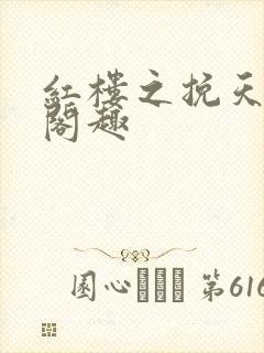 红楼之挽天倾笔阁趣