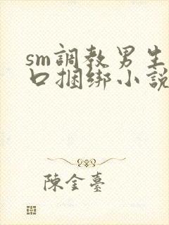 sm调教男生重口捆绑小说