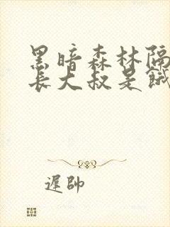 黑暗森林隔壁机长大叔是饿狼笔免费阅读封面