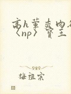 高h荤爽肉欲文〈np〉宝玉