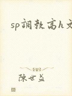 sp调教高h文