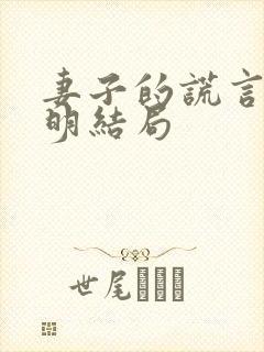 妻子的谎言江一明结局封面