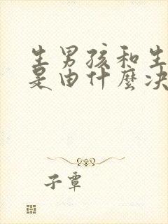 生男孩和生女孩是由什么决定的封面