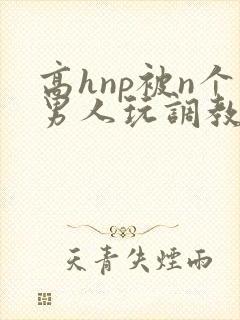 高hnp被n个男人玩调教