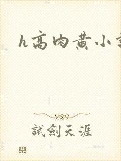 h高肉黄小说