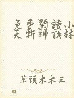 免费阅读小说九天斩神诀林辰