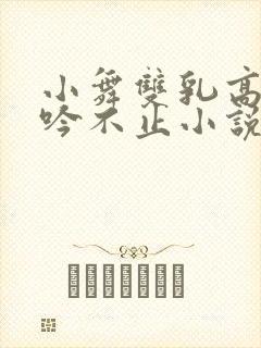 小舞双乳高耸呻吟不止小说封面