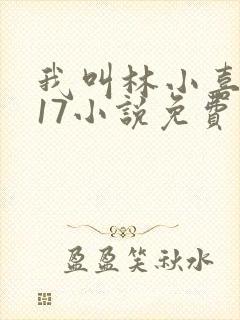 我叫林小喜今年17小说免费看