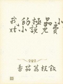 我的极品小姨txt小说免费下载封面