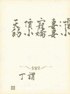 天价宠妻:霍总的小娇妻小说下载