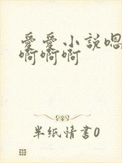 爱爱小说嗯嗯啊啊啊啊封面