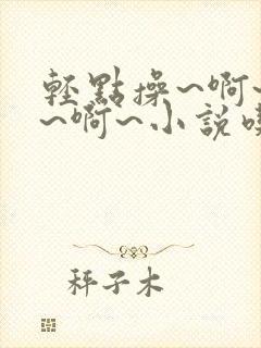 轻点操~啊~嗯~啊~小说吃奶