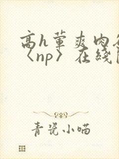 高h荤爽肉欲文〈np〉在线阅读