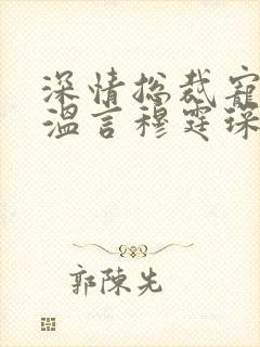 深情总裁宠不停温言穆霆琛封面