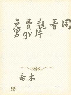 免费观看同性男男gv片