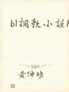 bl调教小说h
