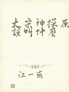 大宋神探原著小说叫什么