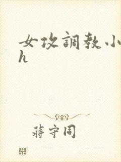 女攻调教小说高h