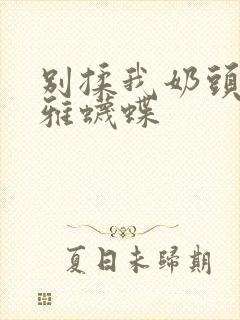 别揉我奶头嗯啊雅蠛蝶封面