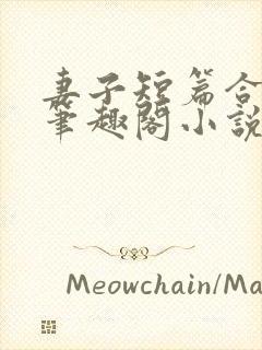 妻子短篇合集_笔趣阁小说