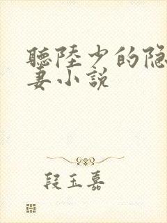 听陆少的隐婚罪妻小说